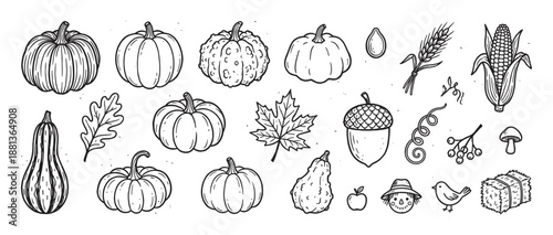 Set of hand-drawn autumn harvest icons including pumpkins, leaves, corn, and an acorn in a black and white doodle style for seasonal Thanksgiving or Halloween design