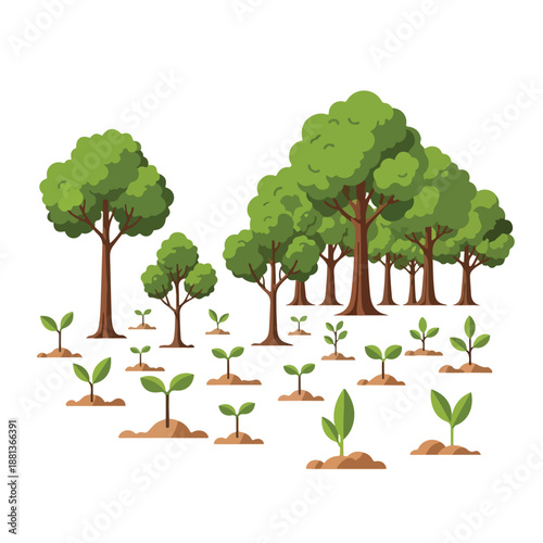 A group of trees and seedlings growing