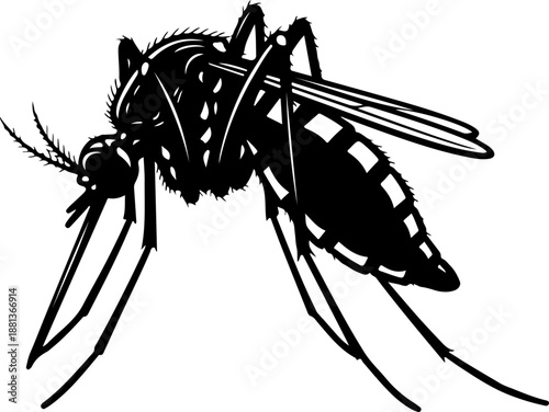 Mosquito silhouette vector illustration