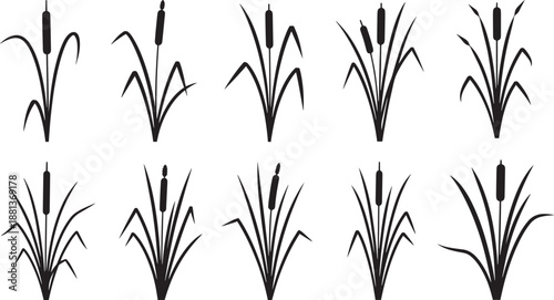 cattail reeds set, wetland plant silhouettes for marsh landscape designs