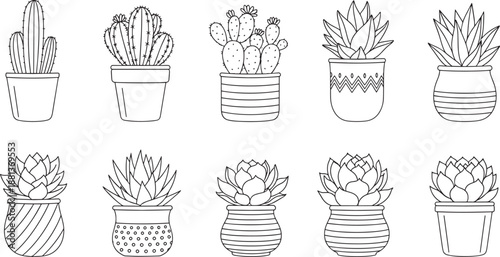 Collection of potted cactus and succulent house plants outline