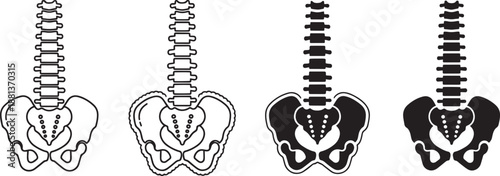 Set of human spine and pelvic bone line art and silhouette design