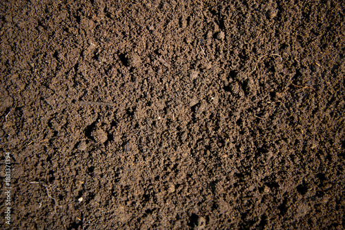 Billede på lærred Soil texture with forest blur