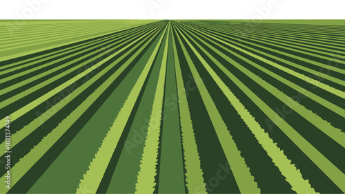Abstract Green Field Lines: An abstract depiction of meticulously arranged green field lines, extending into the horizon, offering a visual representation of order, growth, and the beauty of nature.