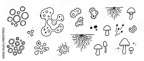Set of hand-drawn biological illustrations featuring various microorganisms like bacteria, amoeba, cells, fungi, mushrooms, and mycelium roots in a simple black and white doodle style