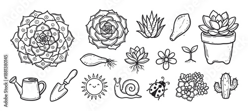 Collection of hand-drawn succulent and gardening doodle icons including a cactus, watering can, trowel, snail, and ladybug in a cute black and white line art illustration style