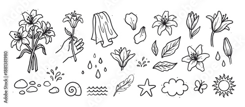 Hand drawn black and white lily flower doodles and nature icons in a charming sketch style collection including a hand, sun, cloud, feather, and water elements for a gentle aesthetic