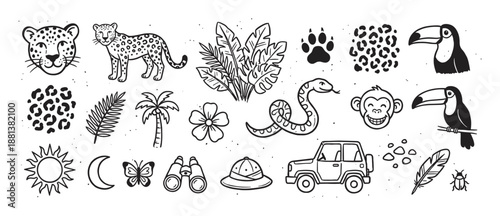 Set of hand-drawn jungle safari doodle illustrations featuring a leopard, toucan, monkey, snake, and various tropical plants and adventure elements in a cute black and white line art style