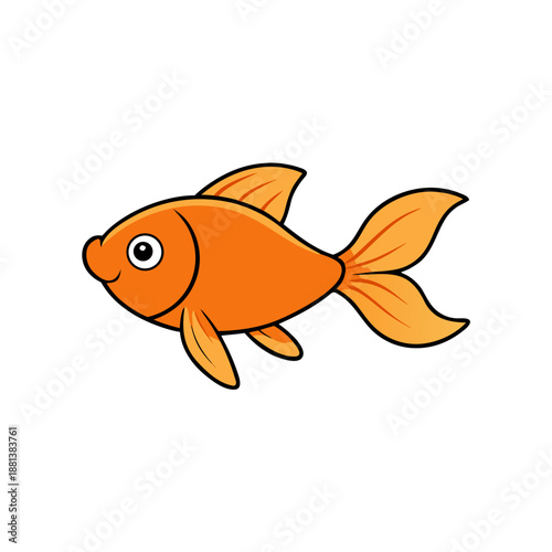 gold fish on white background