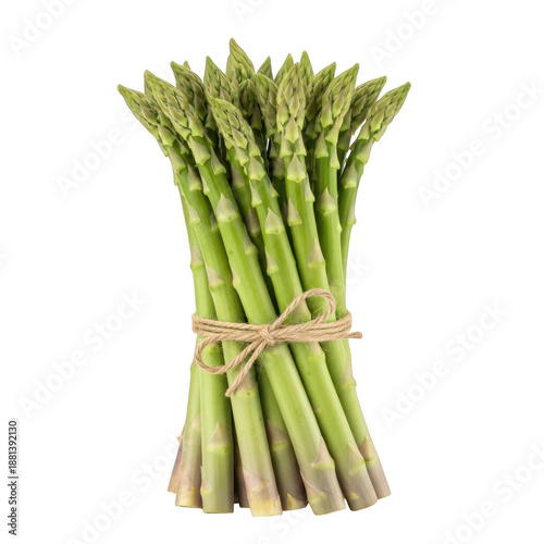 Freshly bundled asparagus