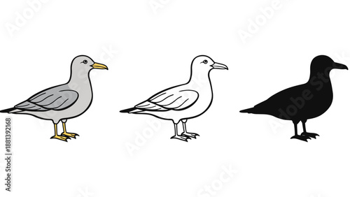 Three seagulls in different illustration styles on a white background