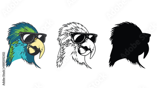 Three parrot heads wearing sunglasses in different colors and styles