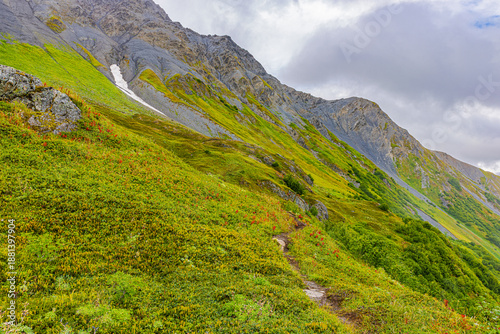 Fotografie A narrow hiking trail crosses a green mountainside beneath cloudy skies along Exit Glacier Trail in Alaska