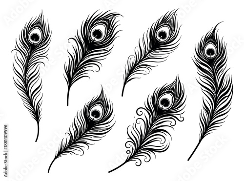 Hand drawn line art peacock feather set featuring various decorative designs for elegant artistic projects