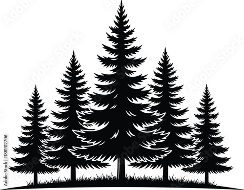 Evergreen pine tree silhouette illustration, conifer forest landscape scene, winter woodland nature design, black vector artwork isolated on white background