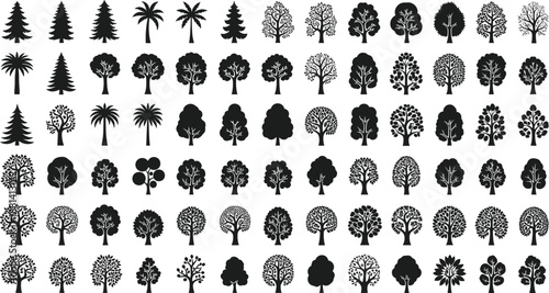 Large tree silhouette icon collection illustration, mixed forest tropical and deciduous trees, botanical nature set, black vector symbols isolated on white background