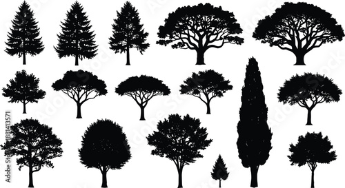 Tree silhouette collection illustration featuring deciduous and conifer shapes, forest elements, botanical nature set, black vector trees isolated on white background