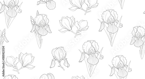 Elegant seamless pattern showcasing detailed black and white line art illustrations of iris and magnolia flowers on white.