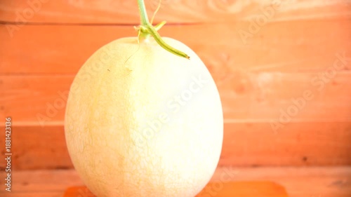 Closeup focus to fresh white melon on the plate    