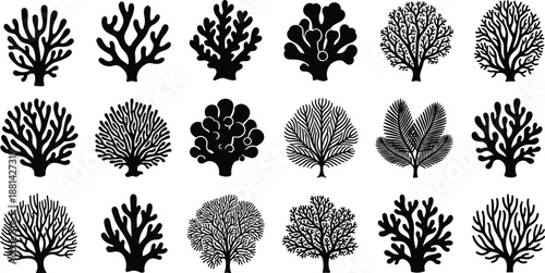 Coral reef vector illustration set, black and white marine coral silhouettes collection, underwater reef shapes for ocean nature design