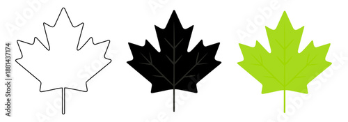 Maple Leaf Outline, Filled, and Colorful Vector Icon Set Isolated on Transparent Background