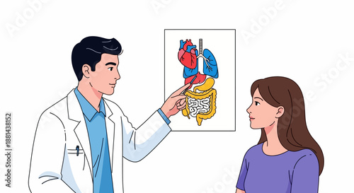 Doctor Explaining Human Anatomy Diagram (Organs, Heart, Lungs, Intestines) to Patient. Medical Education and Consultation Illustration.