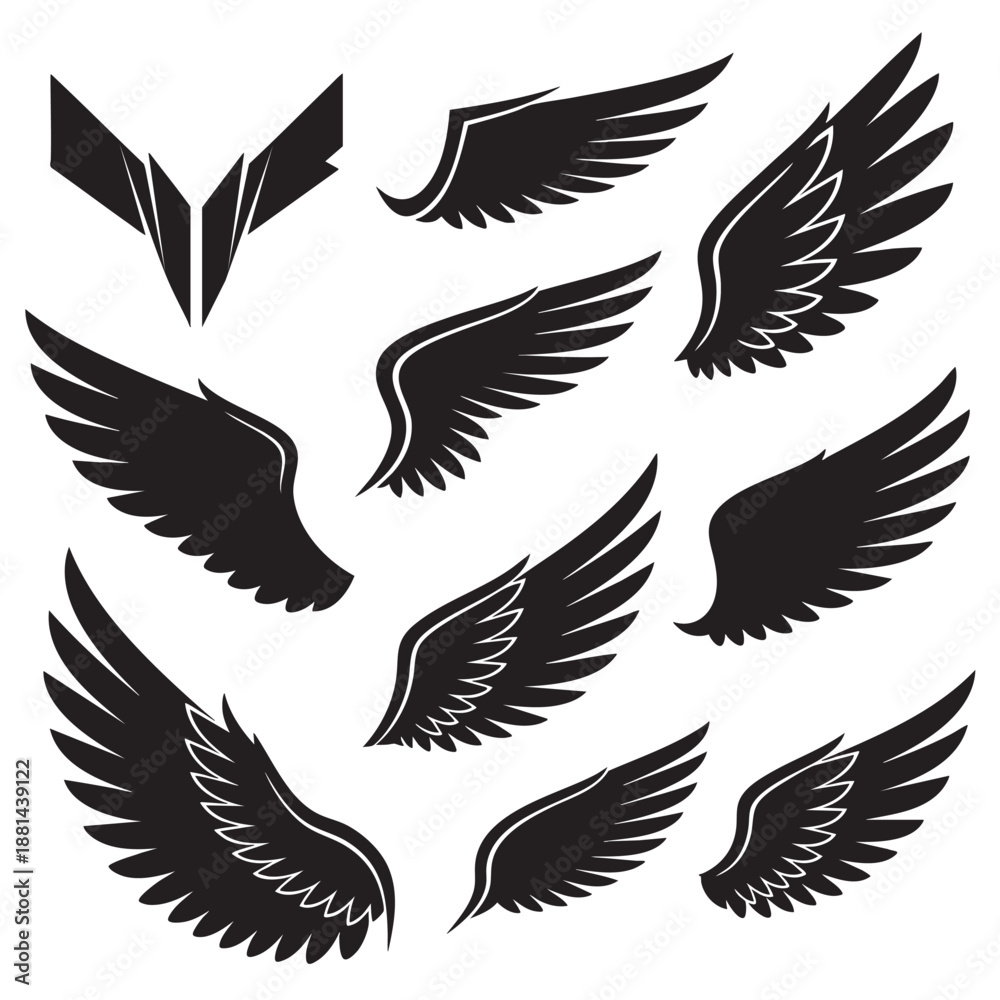 Fototapeta premium Set of detailed black bird wings isolated on transparent background