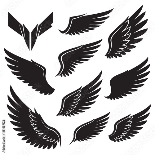 Set of detailed black bird wings isolated on transparent background