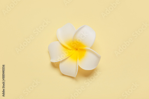 Beautiful plumeria flower o...