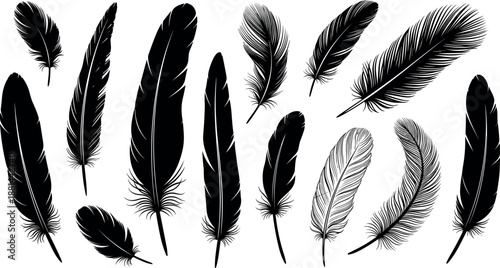 Black feather silhouette set illustration isolated on white background bird plumage collection decorative minimalist nature stock vector graphic