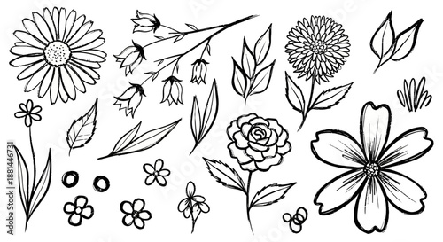 Hand-drawn line art floral vector elements. Collection of blooming flowers, leaves, and botanical sketches, ideal for spring designs, invitations, and nature-themed projects