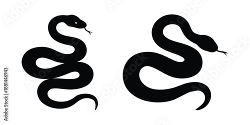 Snake icon. Snake black silhouette. Vector illustration