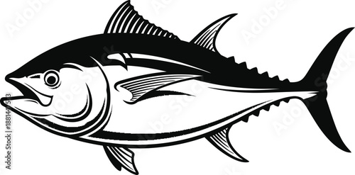 Tuna Fish Detailed Vector Illustration