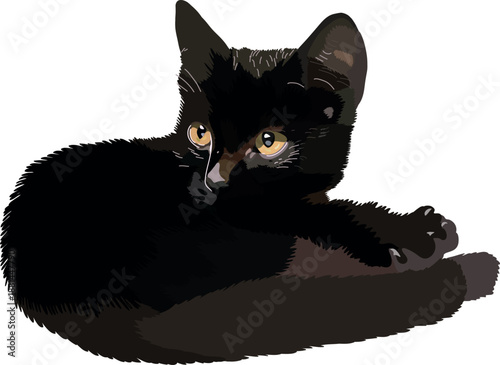 Black kitten isolated on white background. Vector illustration.