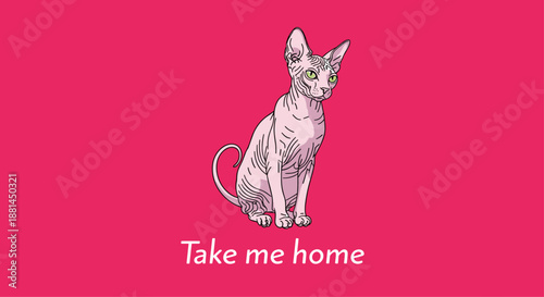 Sphynx cat illustration with green eyes on a vibrant pink background featuring the white text Take me home for animal adoption.