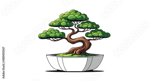 Elegant green bonsai tree in a white ceramic pot on a white background representing zen philosophy and traditional Japanese garden art.