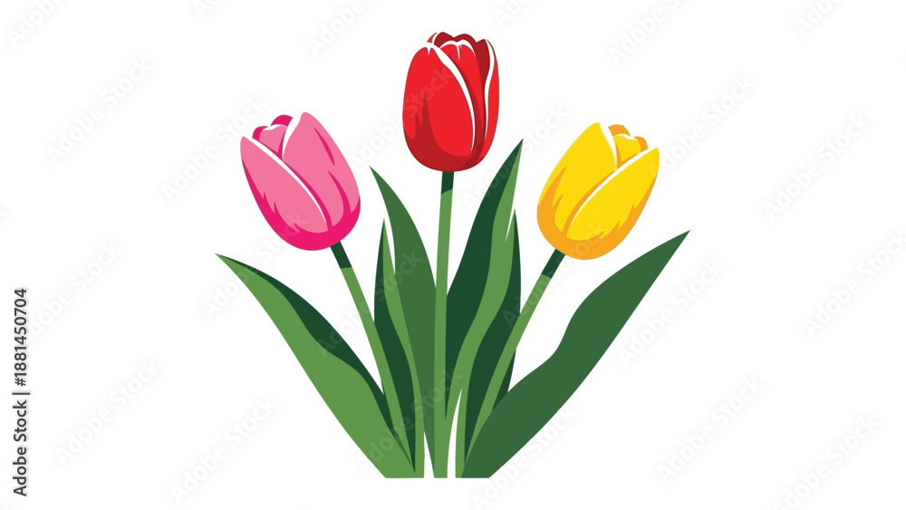 Naklejka premium Three colorful tulips stand tall with green leaves against a white background.