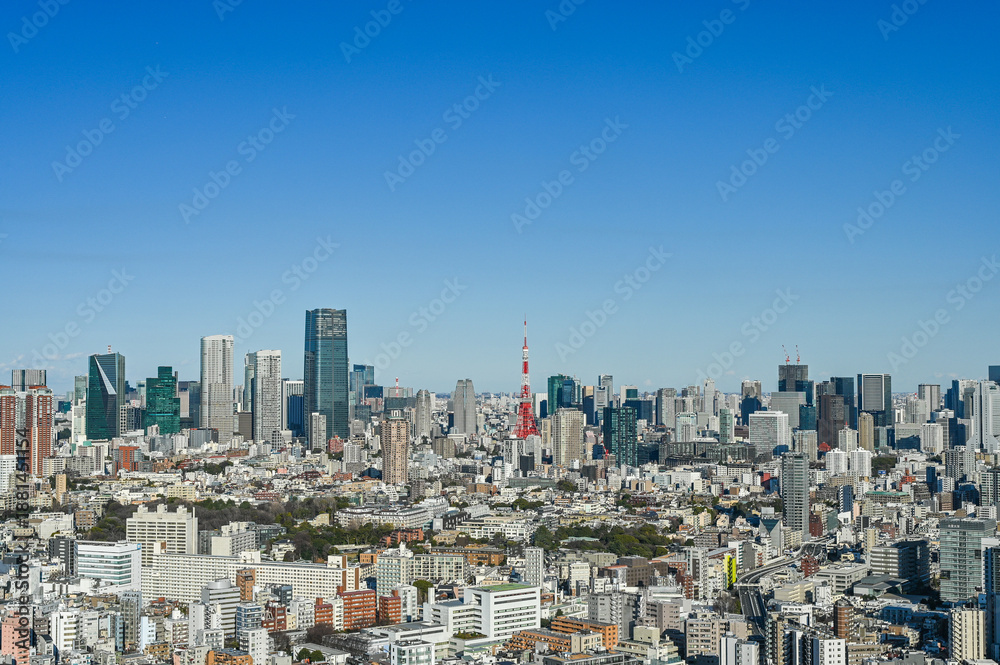 Obraz premium 日本東京の都市風景