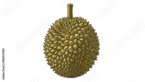 Large, spiky durian fruit, known as the "king of fruits," isolated on a white background, showcasing its unique texture.