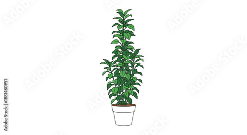 Detailed illustration of a tall lush green plant with many leaves growing in a white ceramic pot for home decor and indoor gardening concepts style.