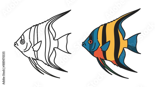 Tropical angelfish illustration side view showing outline drawing next to a vibrant full color version ready for coloring activities