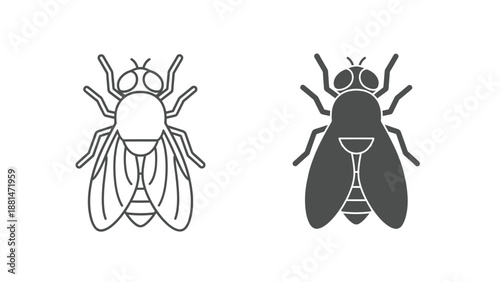 Two distinct stylized vector illustrations of a common house fly are presented side by side showing line art and solid fill icon variations.