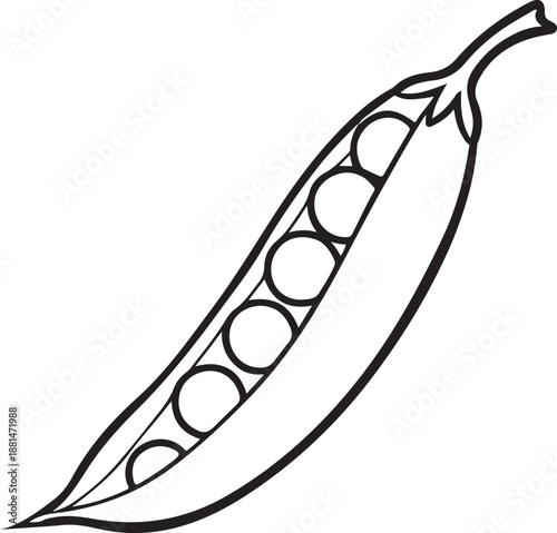 Peas line art vector illustration 