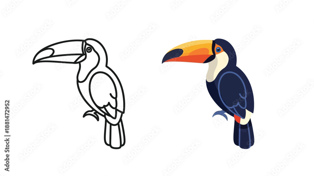 Fototapeta premium Coloring book line art juxtaposed with a vibrant flat illustration of a tropical toucan bird showing beak contrast