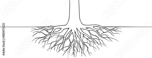 Detailed illustration of tree roots growing underground