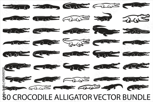 Crocodile Alligator Vector Bundle