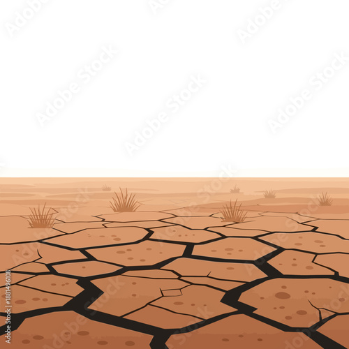 Cracked Earth Surface with Sparse Vegetation and Foggy Horizon
