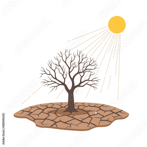Barren Tree in Cracked Earth Under Harsh Sun - Drought Concept