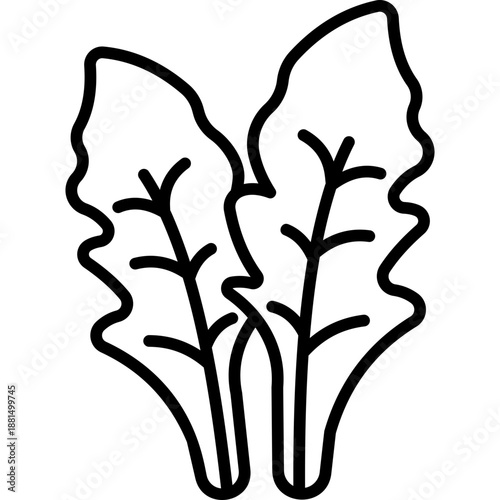 Arugula Leaf Line Icon
