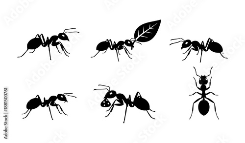 Ant Silhouette Vector Icon Set for Web, Print, and Educational Design